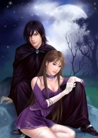 将军夫人闹离婚